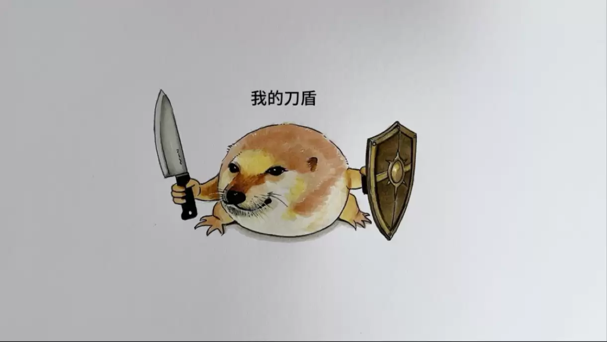 我的刀盾是什么梗？