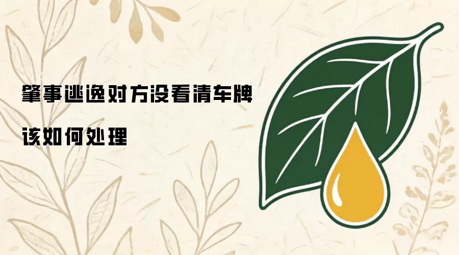 肇事逃逸对方没看清车牌该如何处理