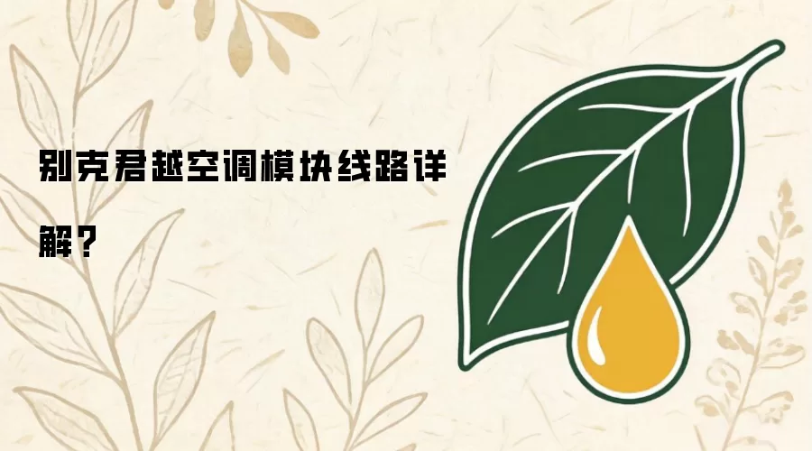别克君越空调模块线路详解？