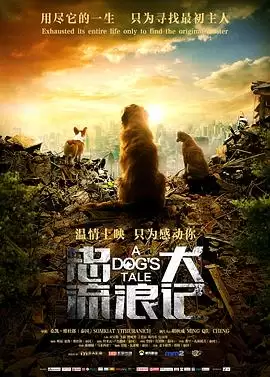 电影《忠犬流浪记》剧情介绍