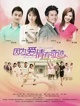 电视剧《因为爱情有奇迹DVD》剧情介绍