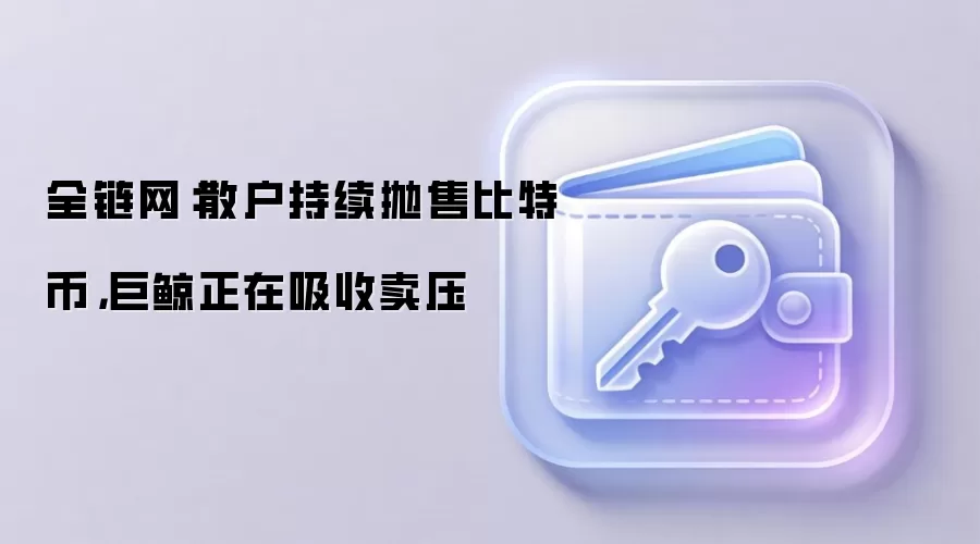 全链网:散户持续抛售比特币,巨鲸正在吸收卖压