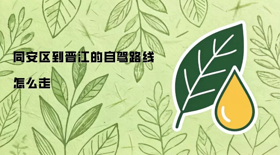同安区到晋江的自驾路线怎么走