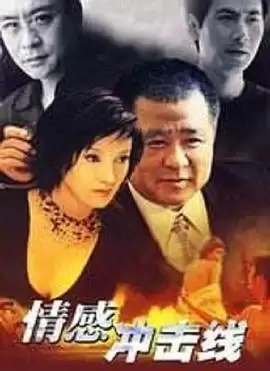 电视剧《情感冲击线》剧情介绍