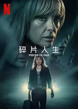 电视剧《碎片人生》剧情介绍