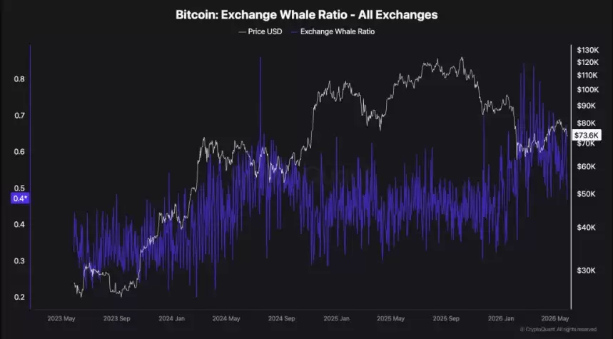 比特币（BTC）需求真空:鲸鱼买入停滞,ETF资金流入疲软