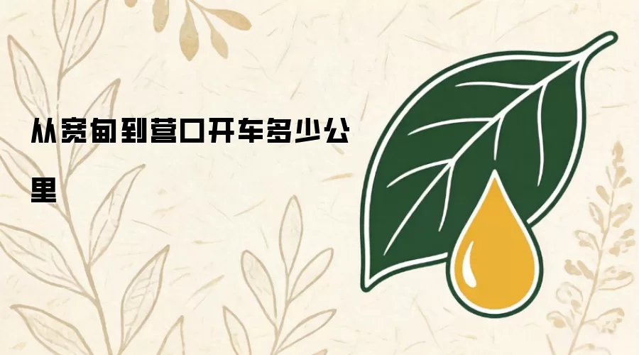 从宽甸到营口开车多少公里