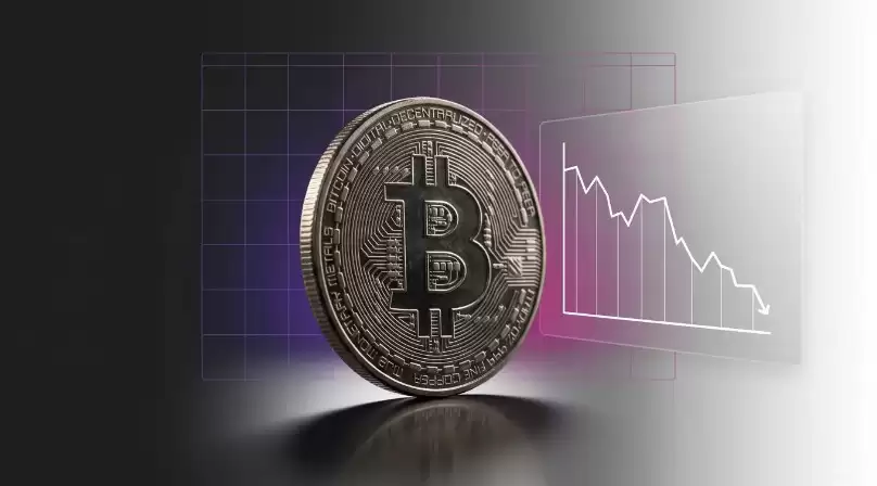 比特币（BTC）需求真空：鲸鱼买入停滞，ETF资金流入疲软