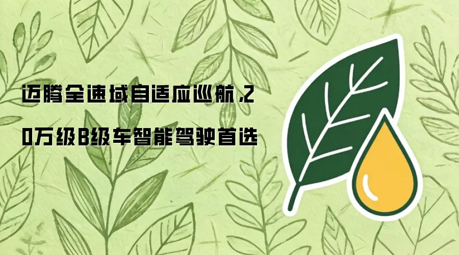 迈腾全速域自适应巡航,20万级B级车智能驾驶首选