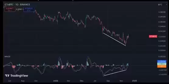 以太坊现货ETF连续10日净流入、巨鲸再进场!专家:机构才刚开始感兴趣