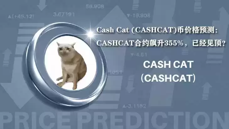 Cash Cat（CASHCAT）走势解析：未平仓合约激增与上升信道观察