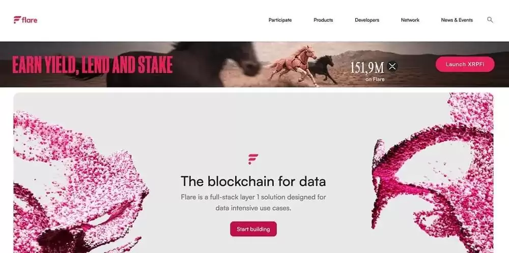关于Flare网络