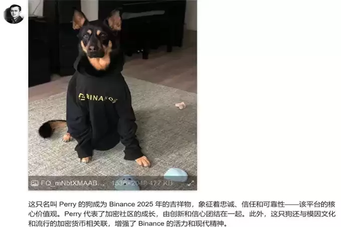 币安链寻