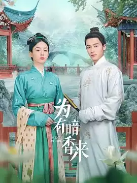 电视剧《为有暗香来》剧情介绍