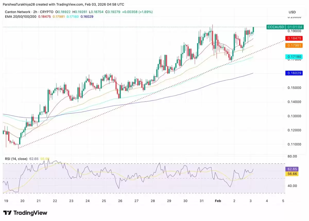 广州物价预测：机构资金消耗推动通缩，CC价格飙升75% 2026.2.3_图3