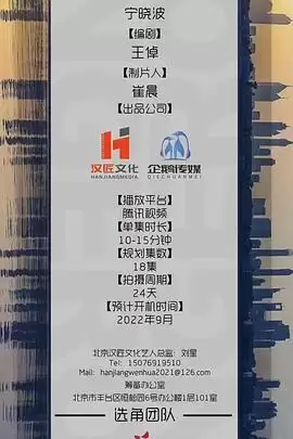 电视剧《危险替身》剧情介绍