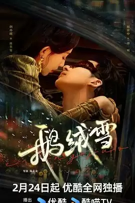 电视剧《鹅绒雪》剧情介绍