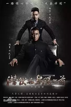 电视剧《潜伏在黎明之前》剧情介绍