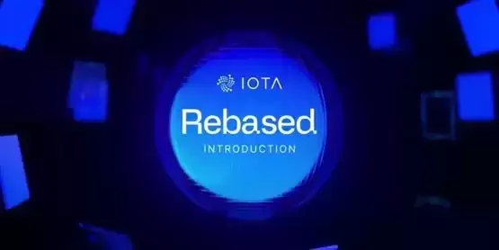 IOTA Rebased升级解析：MoveVM、EVM与质押机制
