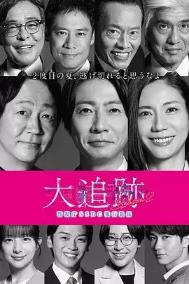 电视剧《大追踪〜警视厅SSBC强行犯系〜 第二季》剧情介绍