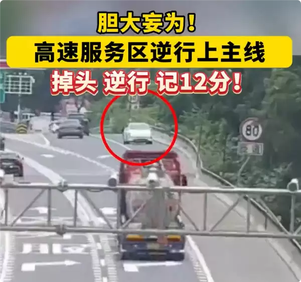 新手女司机第一次独自上高速 迷路逆行被扣12分 要重考科目一
