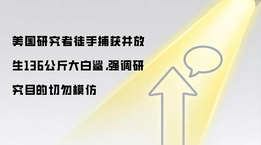 美国研究者徒手捕获并放生136公斤大白鲨，强调研究目的切勿模仿