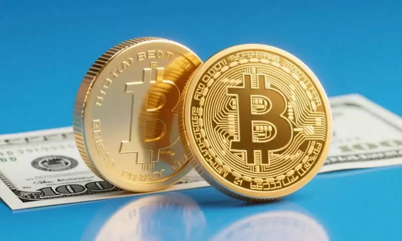 2026年最值得长期投资的十大加密货币