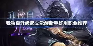 我独自升级起立觉醒新手哪个职业好用