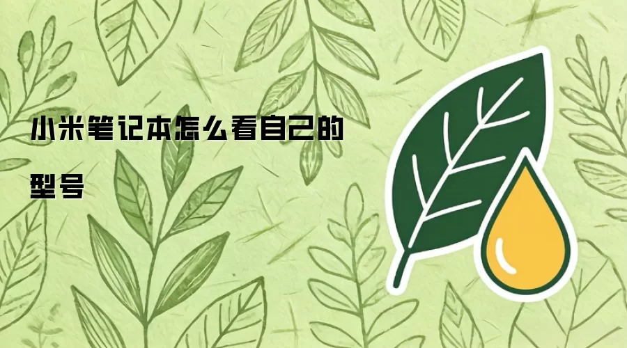 小米笔记本怎么看自己的型号