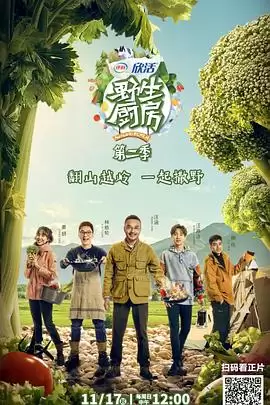 综艺《野生厨房第二季》剧情介绍