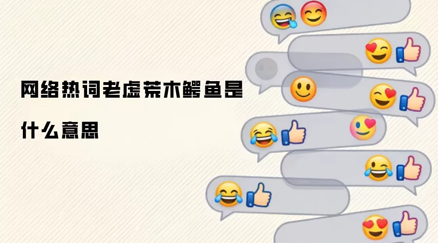 网络热词老虚荒木鳄鱼是什么意思