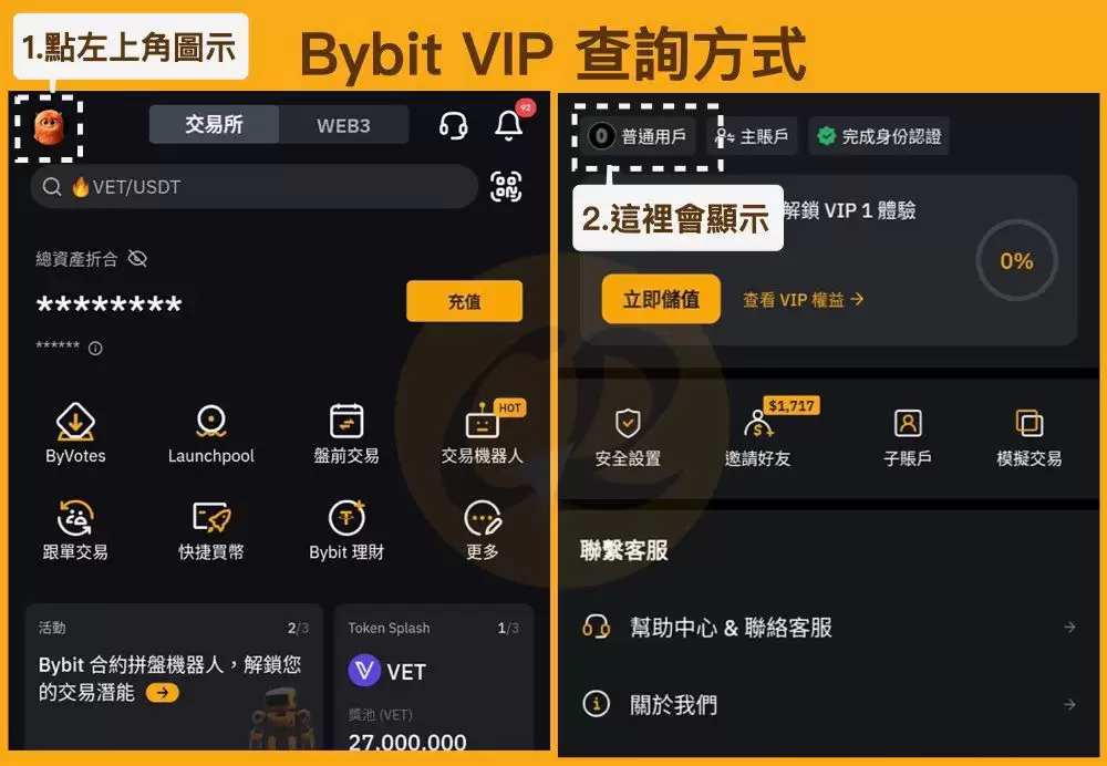 Bybit VIP 资格查询方式
