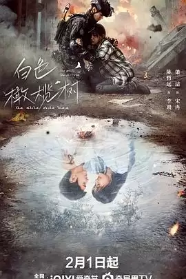电视剧《白色橄榄树》剧情介绍