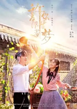 电视剧《许你浮生若梦》剧情介绍