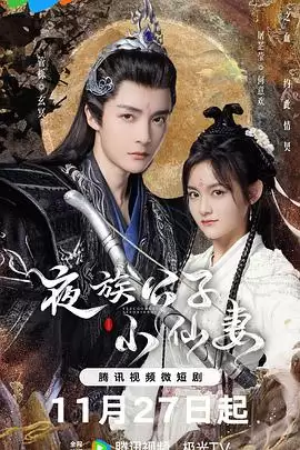 电视剧《夜族公子小仙妻》剧情介绍