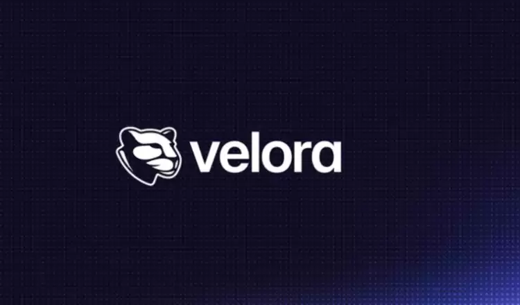 Velora(VLR)币全面介绍