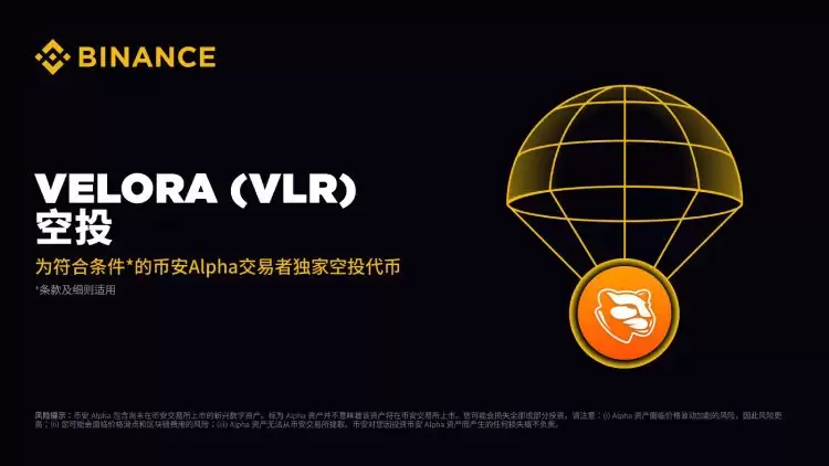 Velora(VLR)币全面介绍