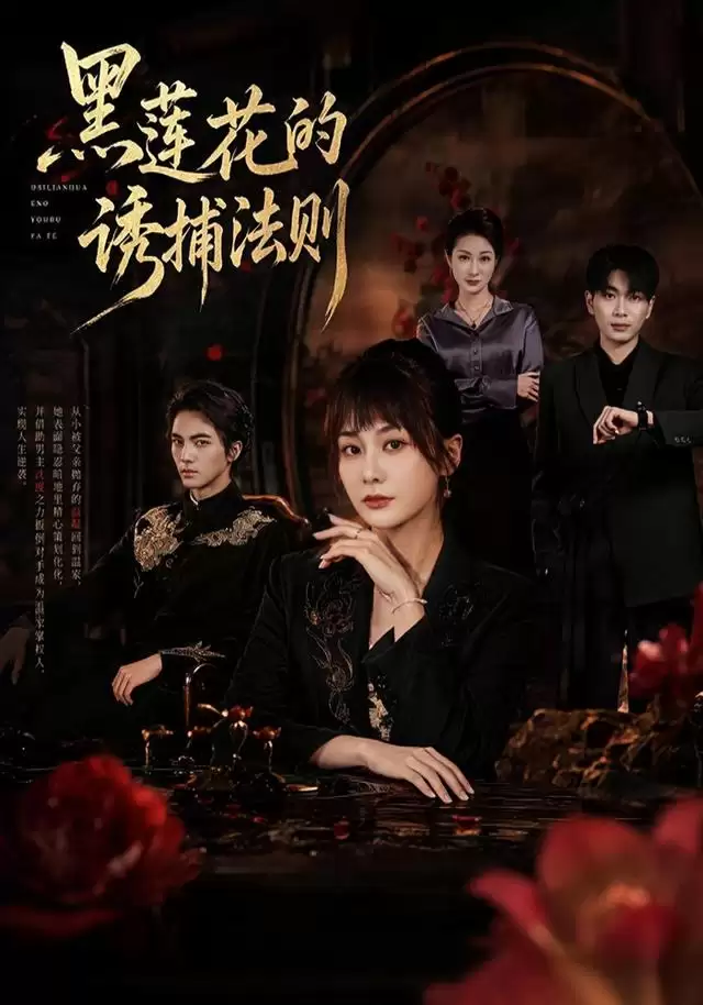 短剧《黑莲花的诱捕法则》剧情介绍
