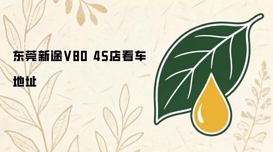 东莞新途V80 4S店看车地址