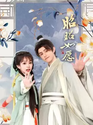 电视剧《昭昭如愿》剧情介绍