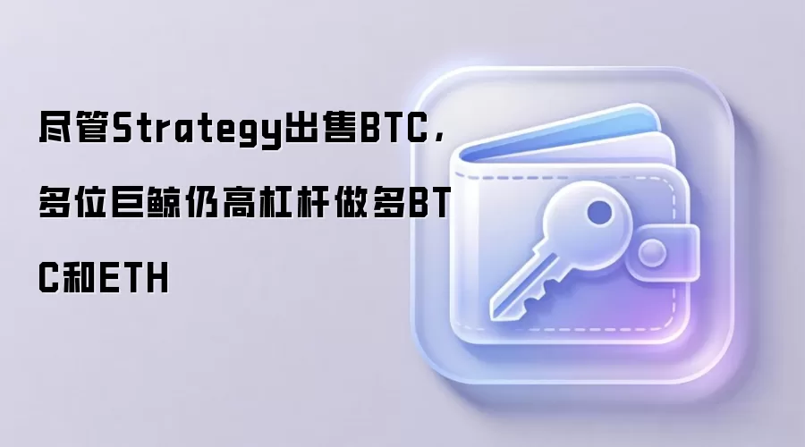 尽管Strategy出售BTC,多位巨鲸仍高杠杆做多BTC和ETH