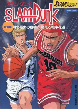 动漫《灌篮高手 剧场版3》剧情介绍