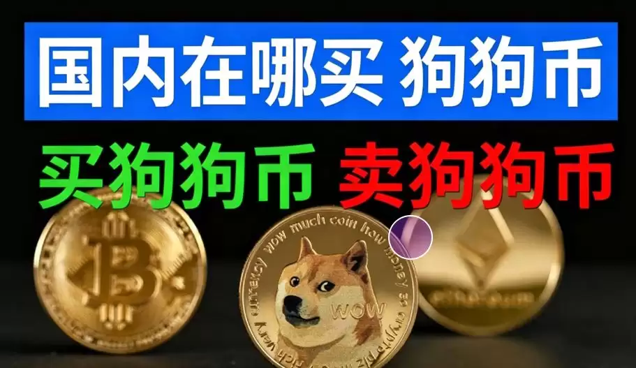 国内在哪买狗狗币？手把手教你用必安App买入狗狗币（含官方下载地址）
