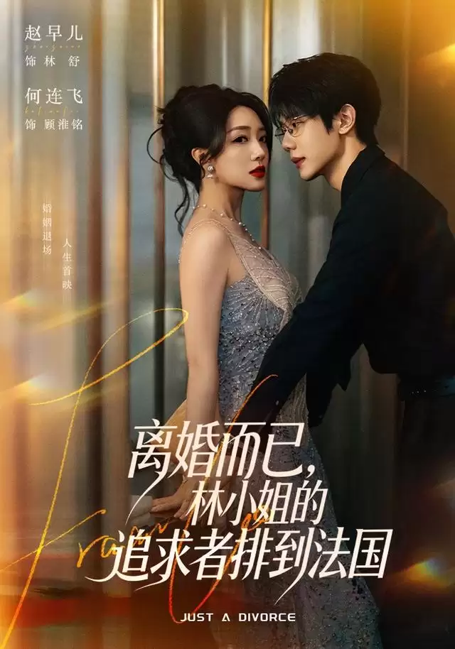 短剧《离婚而已，林小姐的追求者排到法国》剧情介绍