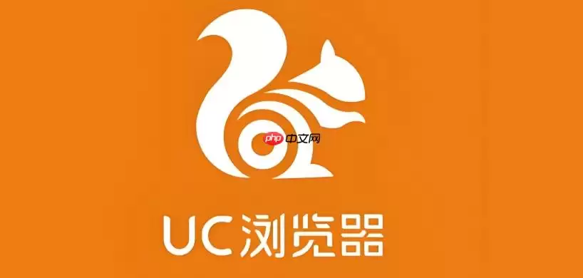uc浏览器网页音频无法播放怎么办