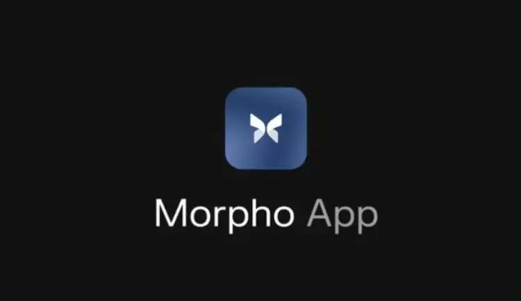 Morpho 流动性池