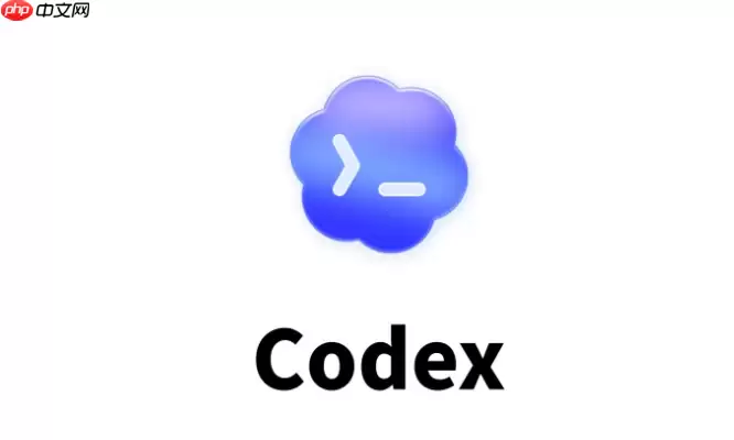 codex接入deepseek参数怎么填