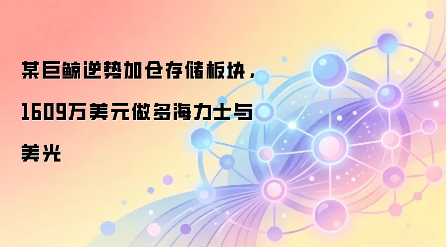某巨鲸逆势加仓存储板块,1609万美元做多海力士与美光