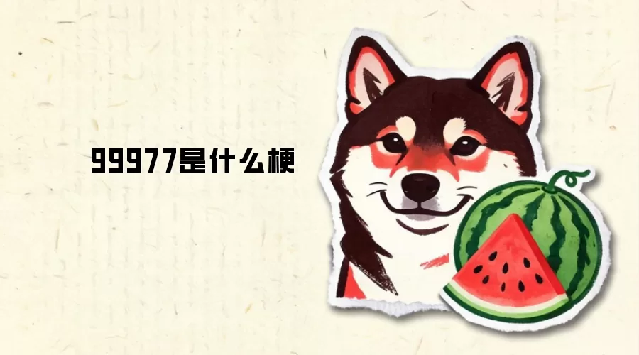 99977是什么梗