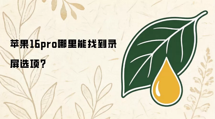 苹果16pro哪里能找到录屏选项？